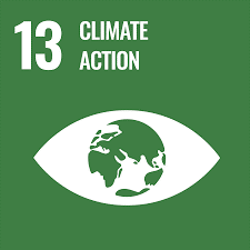 Climate action sdg