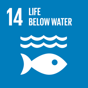 Life below water sdg