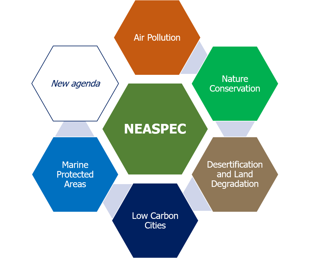 NEASPEC diagram