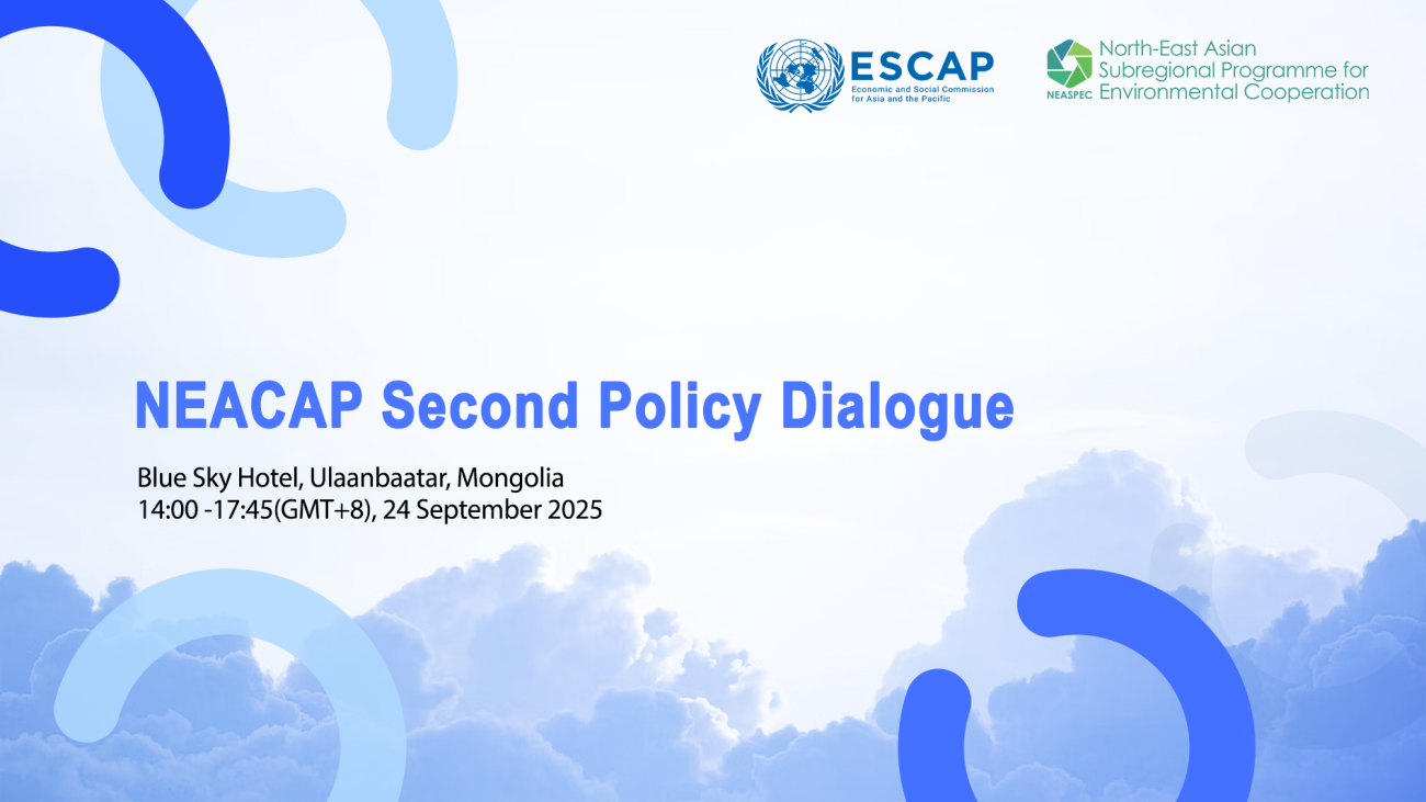 NEACAP Second Policy Dialogue | NEASPEC.ORG