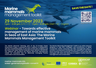 webinar_marine mammals