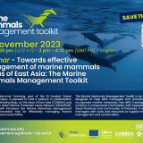 webinar_marine mammals