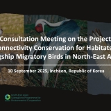 consultation
